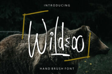 Wildeoo Font