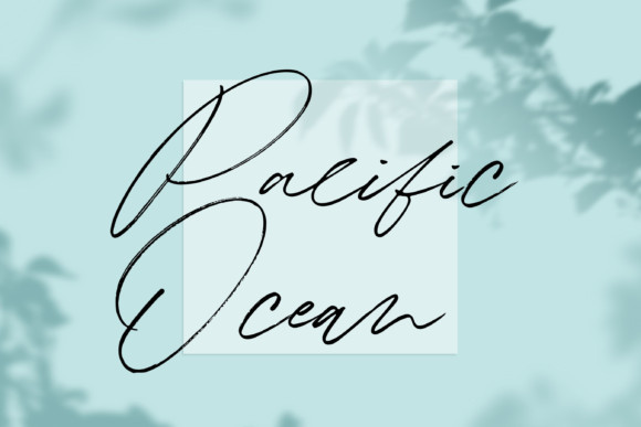 Winterlady Font Winterlady Font