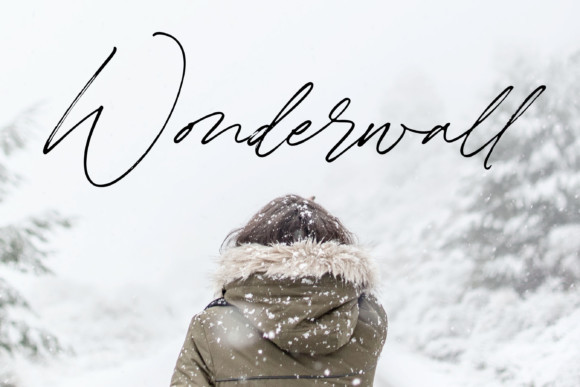 Winterlady Font Winterlady Font