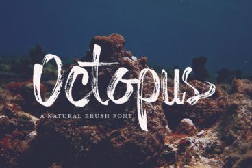 Octopus Font