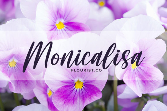 Perisland Font