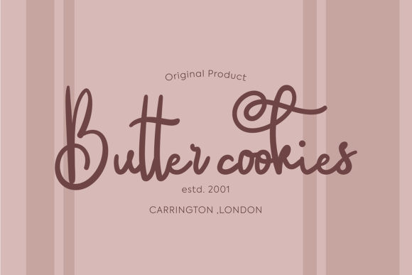 Saillendya Font