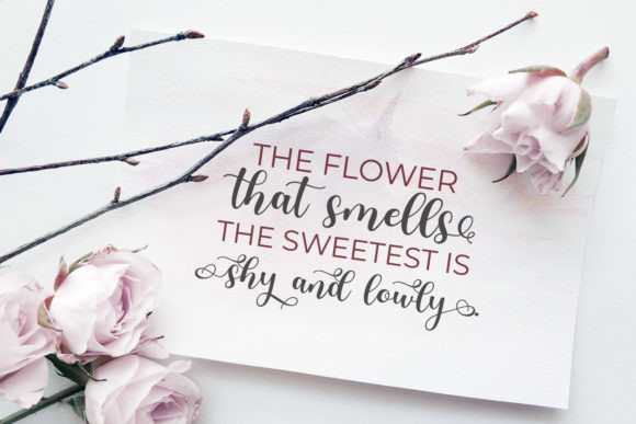 Olyndia Font