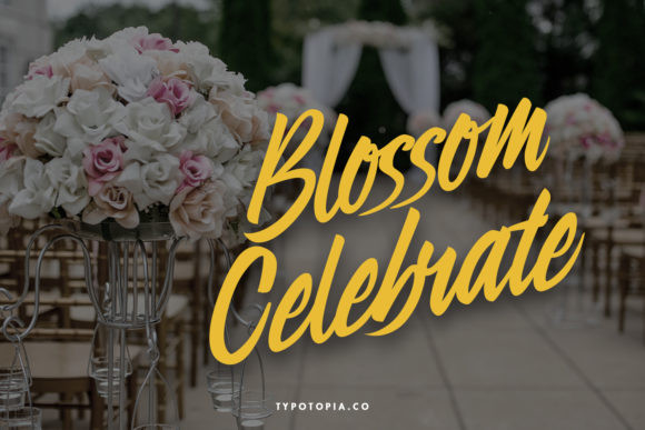 Preteoria Font