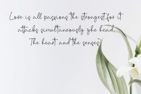 Riujin Palluy Font