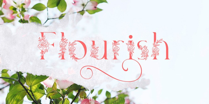 Marlyn Font