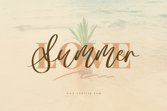 Angella Gardness Font Angella Gardness Font