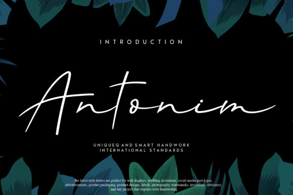 Antonim Font