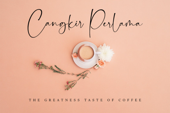 Dollamin Font