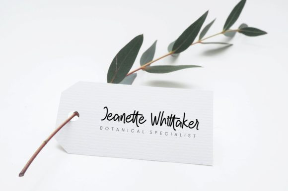 Estermoon Font