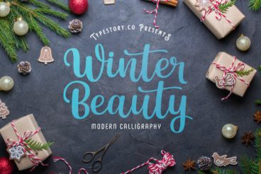 Winter Beauty Font