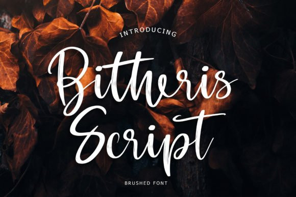Bitheris Script Font