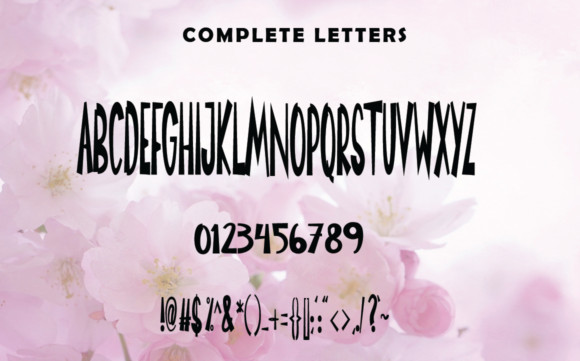 Chrismas Santa Font