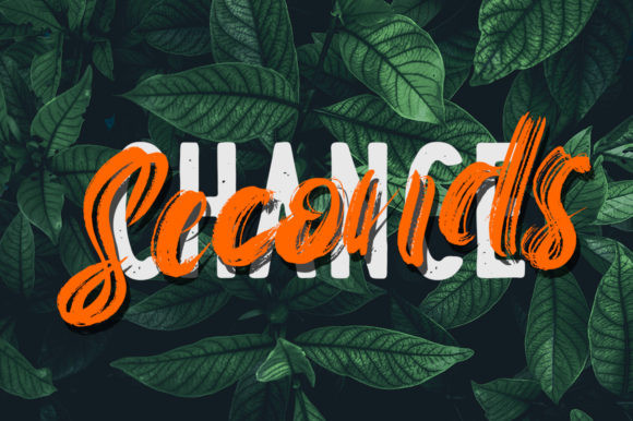 The Flybirds Font The Flybirds Font