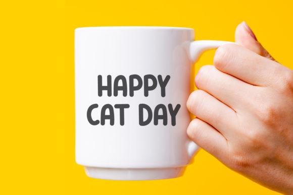 Cat Boys Font