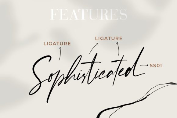 Enternity Font