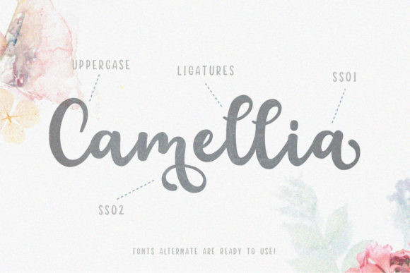 Floristy Font