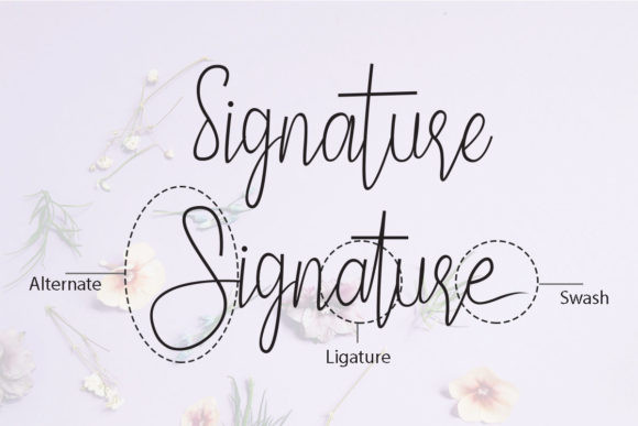 Pamella Font