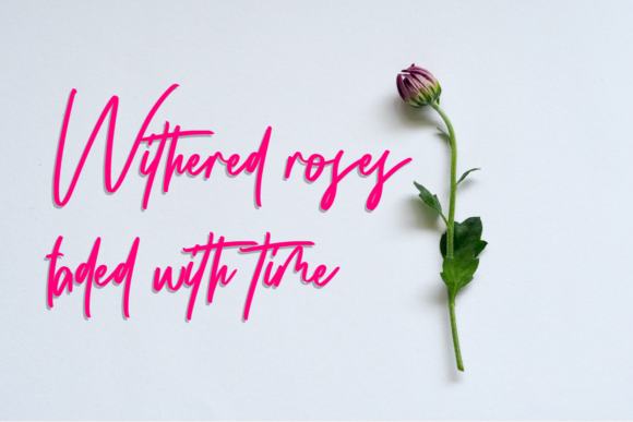 Silverside Font