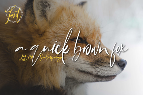 Bonyca Font