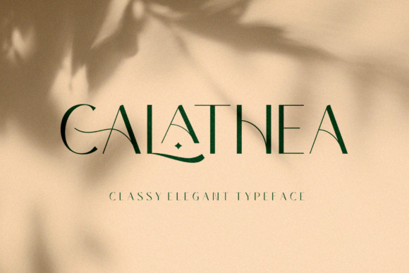 Calathea Font