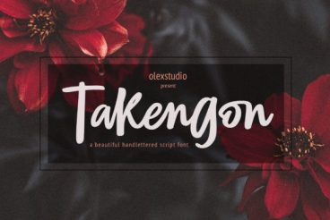 TAKENGON Font