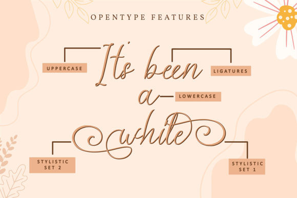 Veeolyn Font