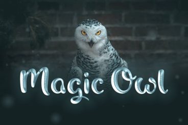 Magic Owl Font