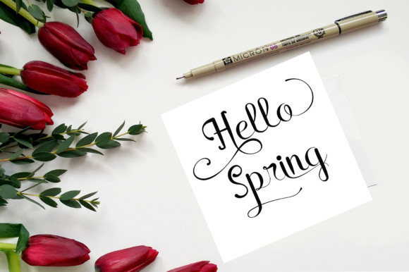 Rain in Spring Font Rain in Spring Font