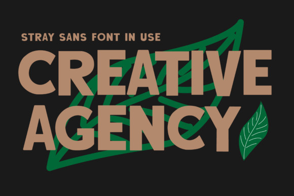 Stray Sans Font