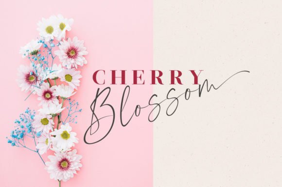 Morning Flower Font