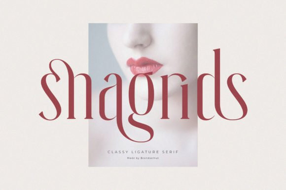 Snagrids Font