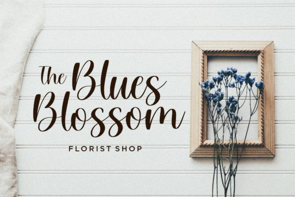 Willow Eden Font