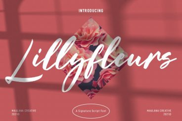 Lillyfleurs