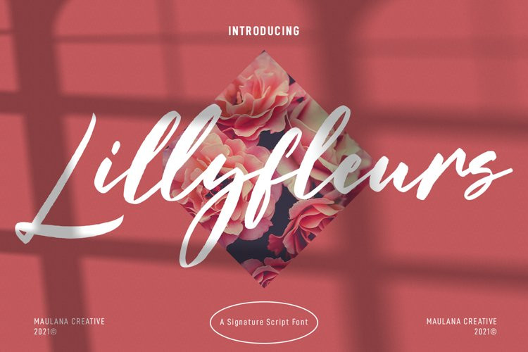 Lillyfleurs