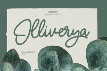 Olliverya