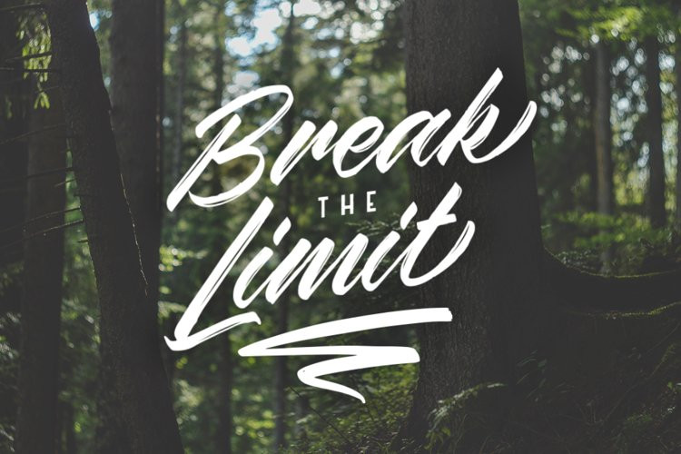 Wildlast Font
