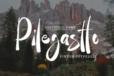 Pilegastto