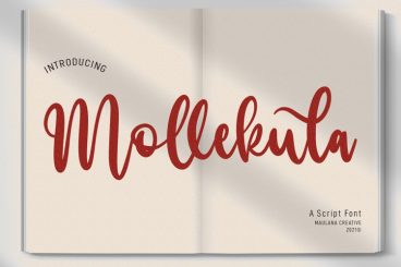 Mollekula