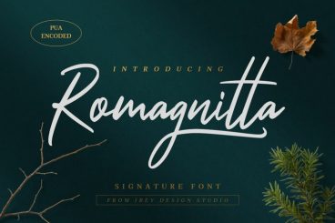 Romagnitta
