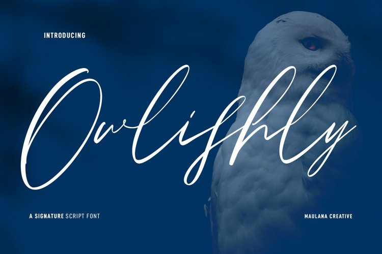 Owlishly Font Owlishly Font