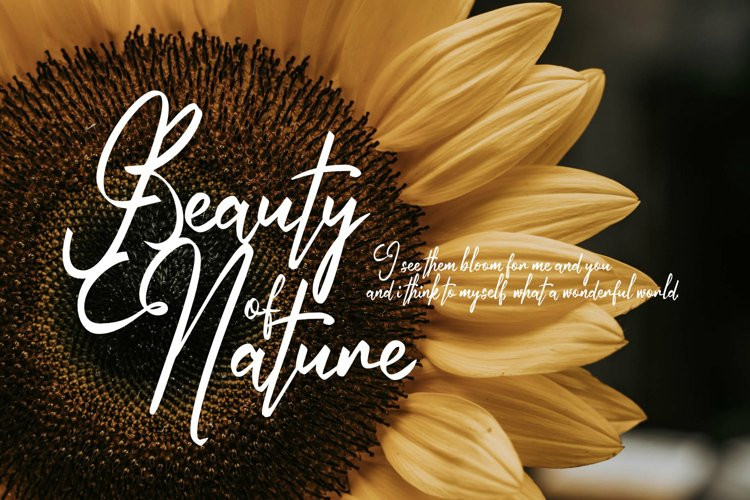 Autumn Field Font