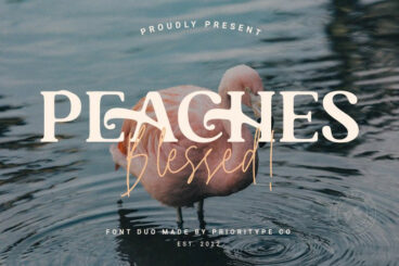 Peaches Blessed Font
