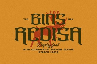 Gins Redisa Font