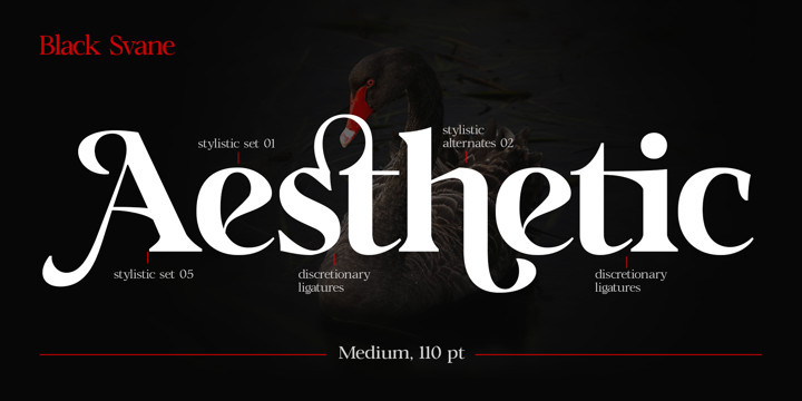 Black Svane Font Family Black Svane Font Family