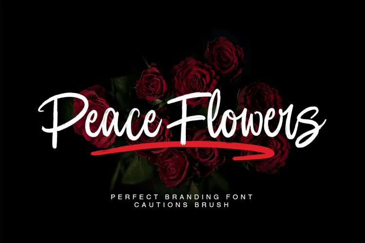 Cautions Font