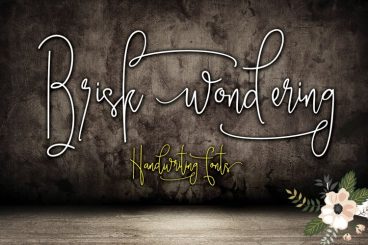 Brisk wondering Font