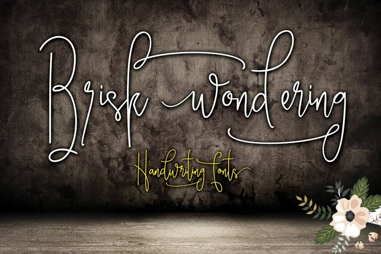 Brisk wondering Font - Free Font