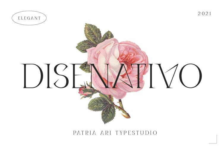 Disenativo Font