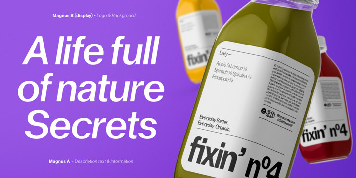 Fujiwara Font Family